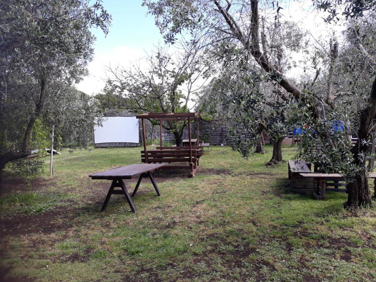 Bici Grill Decimo Miglio Aeroporto Ciampino Francigena Country House Bagian luar foto