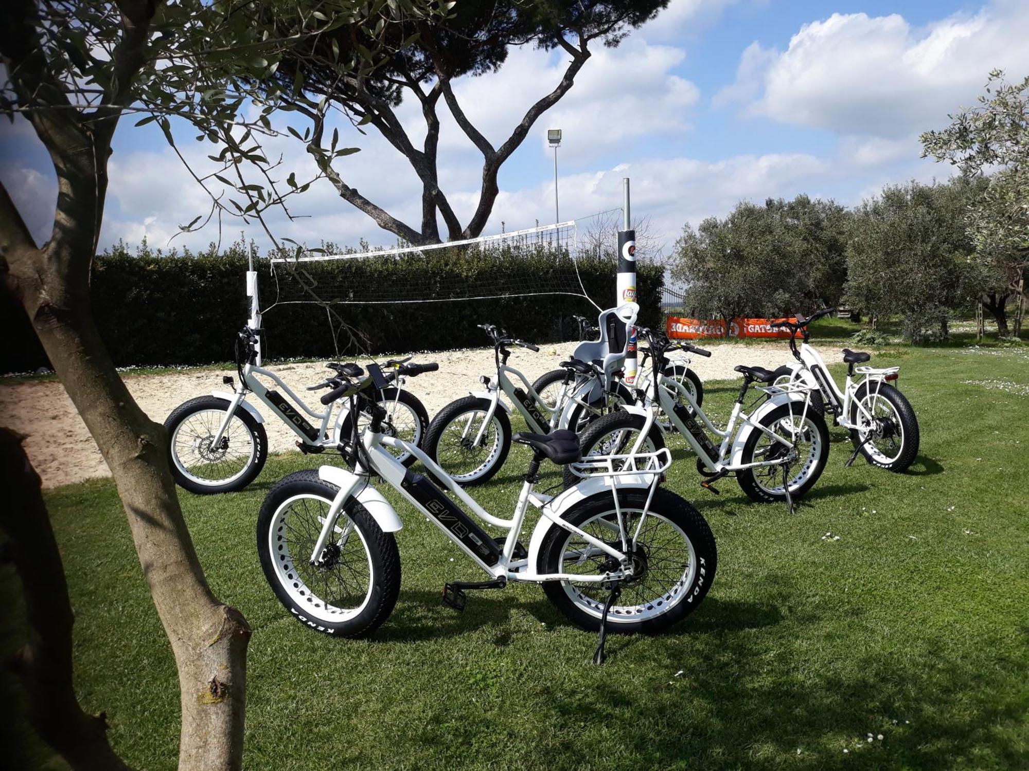 Bici Grill Decimo Miglio Aeroporto Ciampino Francigena Country House Bagian luar foto